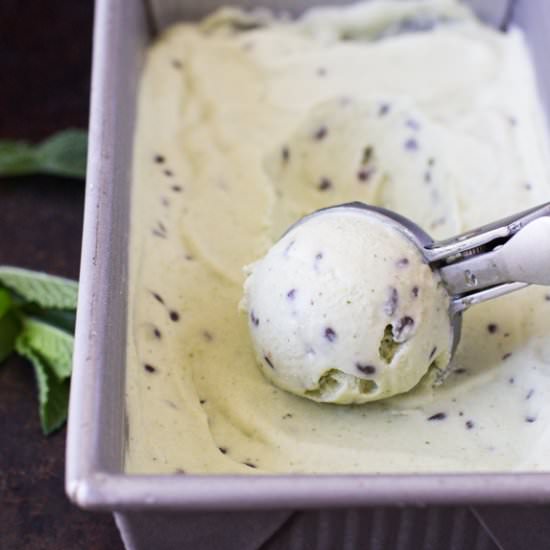 Vegan Mint Chocolate Chip Ice Cream