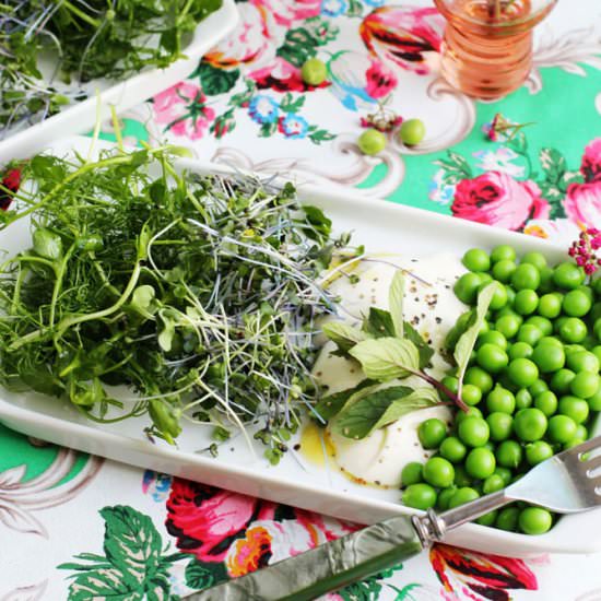Shell Pea and Whipped Ricotta Salad