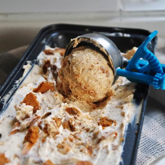 No-Churn Cookie Butter Ice Cream