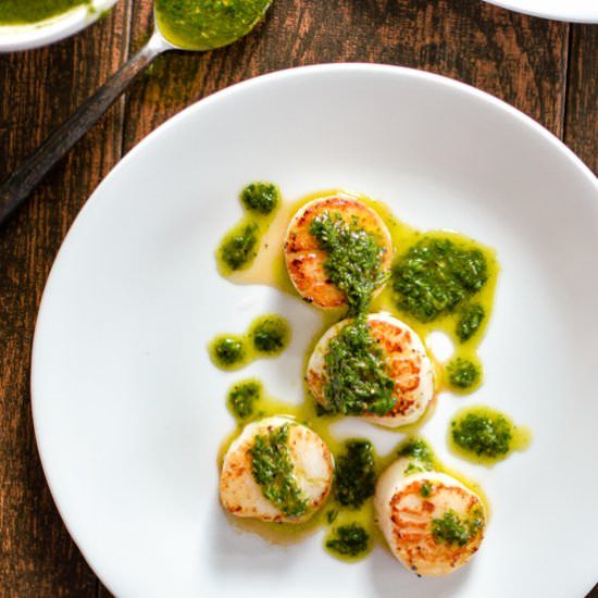 Pan-Seared Scallops with Pesto