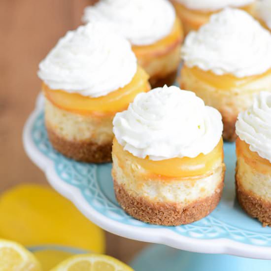 Mini Lemon Cheesecakes