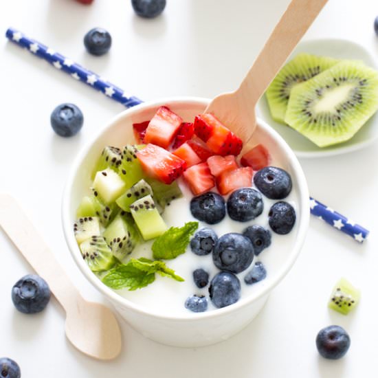 4 Ingredient Vanilla Frozen Yogurt