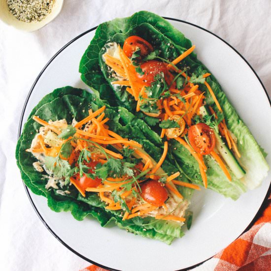 Garden Salad Lettuce Wraps