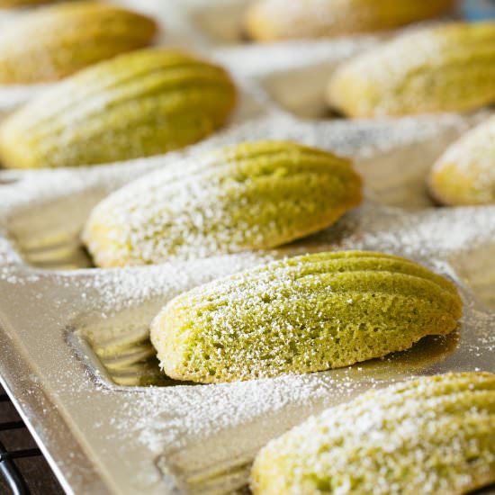 Green Tea Madeleine