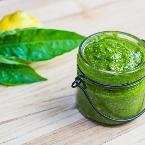 Garden Fresh Basil Pesto