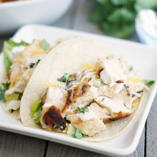 Grilled Chipotle Chicken Tacos