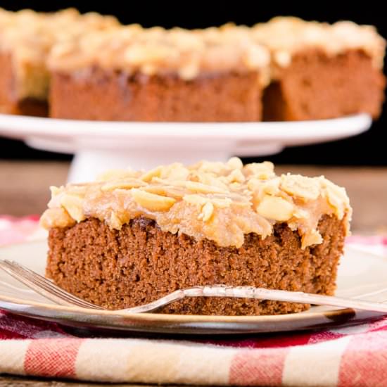Peanut Butter Chocolate Cola Cake