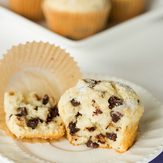 Chocolate Chip Muffins