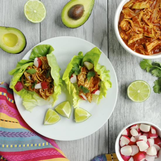Slow Cooker Enchilada Chicken