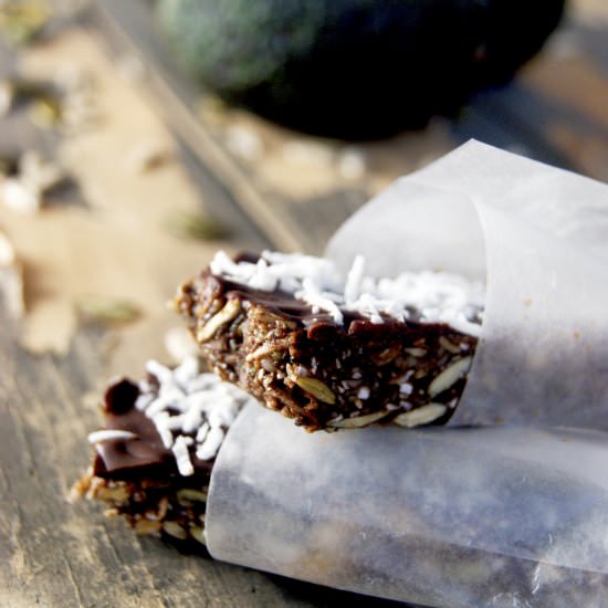 Double Chocolate Raw Protein Bars