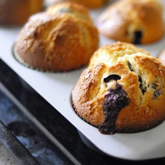 Easiest Blueberry Muffins