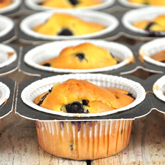Blueberry Muffins