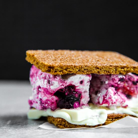 Berry S’mores