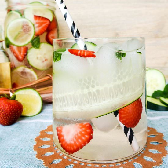 Infused water cocktail refresher