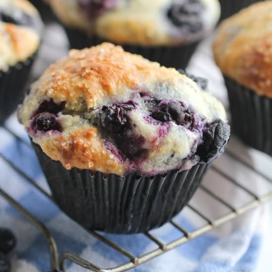 Go-To Blueberry Muffins