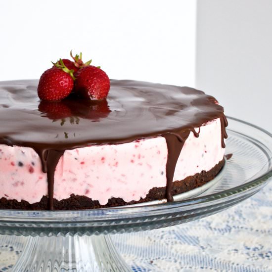Chocolate Strawberry Ice Cream Cake