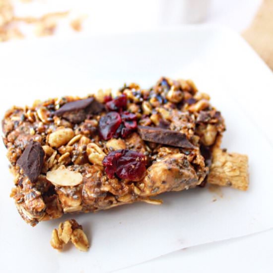 Dark Chocolate Cranberry Cereal Bar