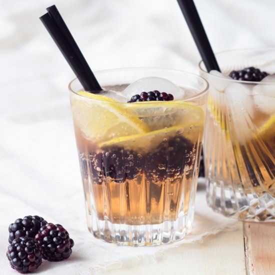 Blackberry Ginger Mocktail