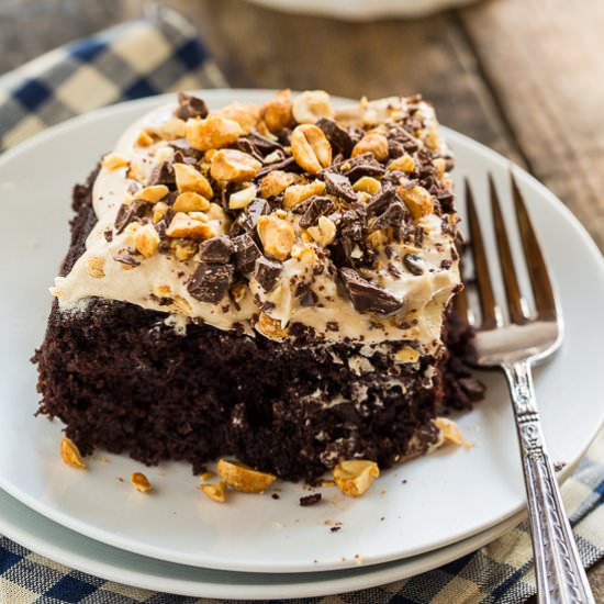 Chocolate Peanut Butter Cake