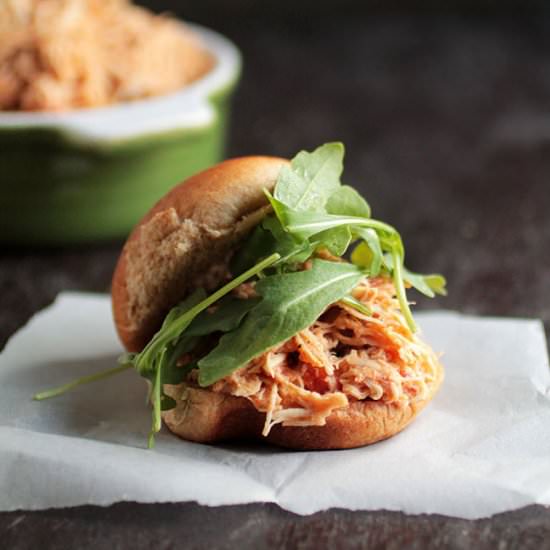 Slow Cooker Salsa Chicken