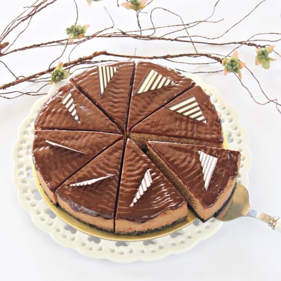 Chocolate Coffee Cheesecake