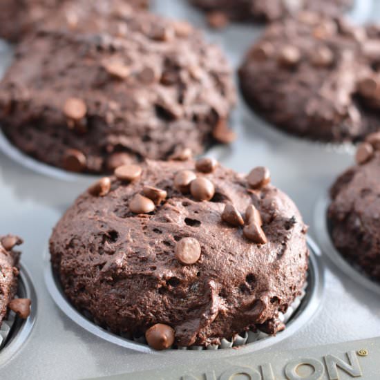 Double Chocolate Chip Muffins