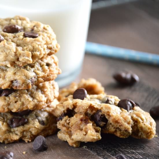 GF Oatmeal Raisinet Cookies