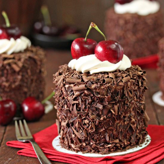 Black Forest Mini Cakes