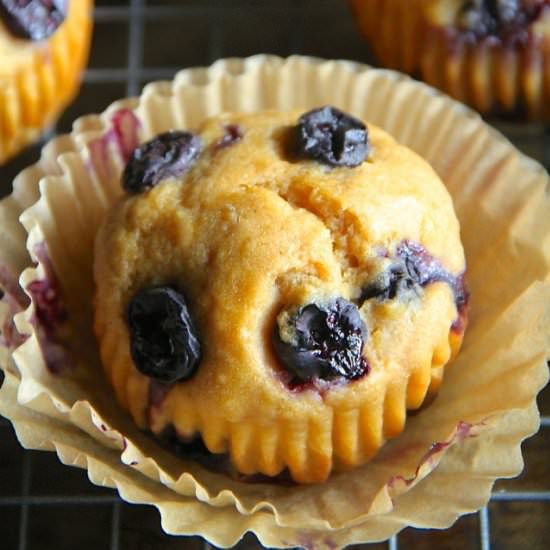 Lemon Blueberry Greek Yogurt Muffin