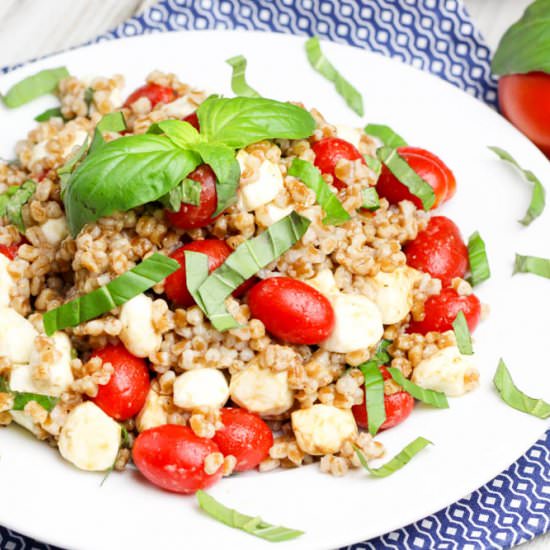 Caprese Wheat Berry Salad