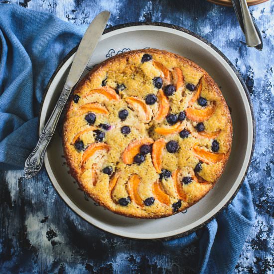 Whole Wheat Apricot Blueberry Cake