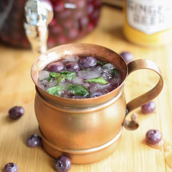 Blueberry Moscow Mules