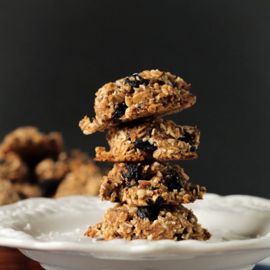Blueberry Pecan Coconut Cookies