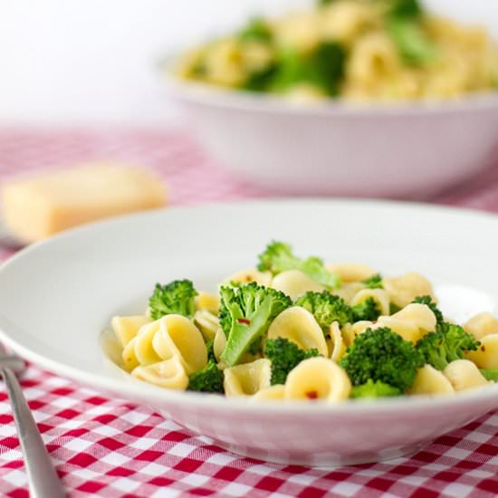 Orecchiette with broccoli
