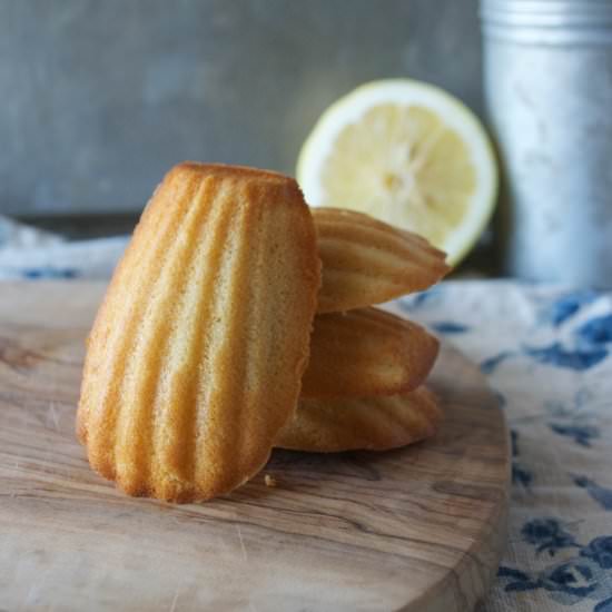 Lemon Paleo Madeleines