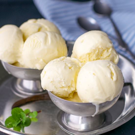Homemade Vanilla Bean Ice Cream