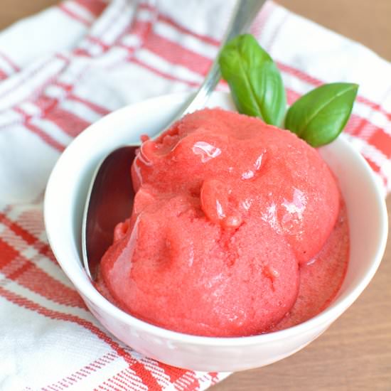 Raspberry Sorbet
