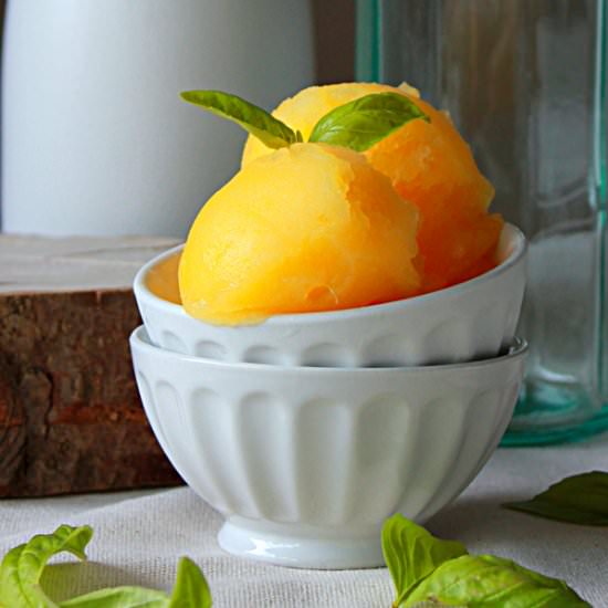 Fresh Orange Basil Sorbet