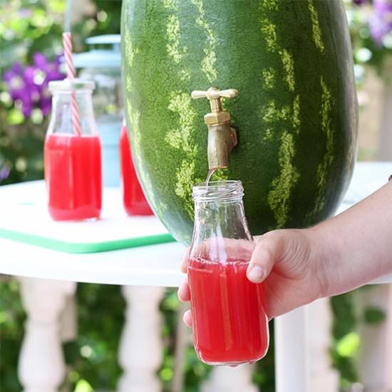 watermelon dispenser