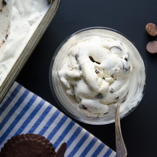 cool mint cookie chip ice cream
