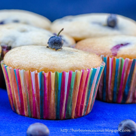 Eggless Blueberry Yogurt Muffins