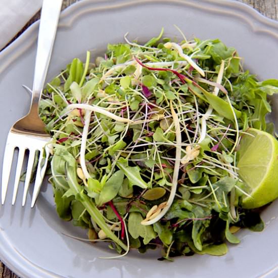 Baby Arugula and Sprout Salad