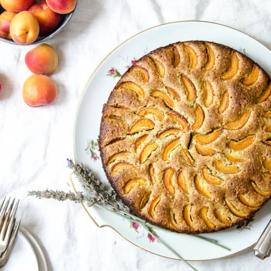 Almond Apricot Pistachio Cake