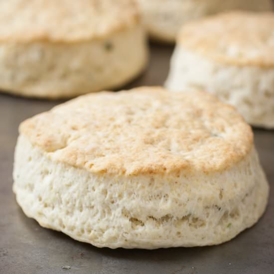 Southern Style Biscuits