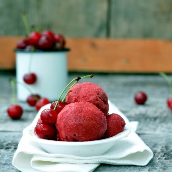 Sour cherry sorbet