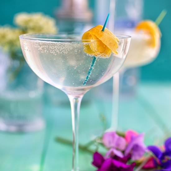 Grey Goose Le Fizz Cocktail