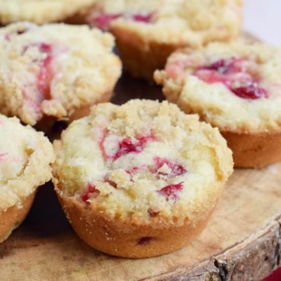 Cranberry Apple Muffins