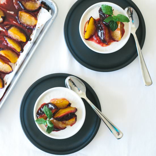 Nectarine Panna Cotta with Plums
