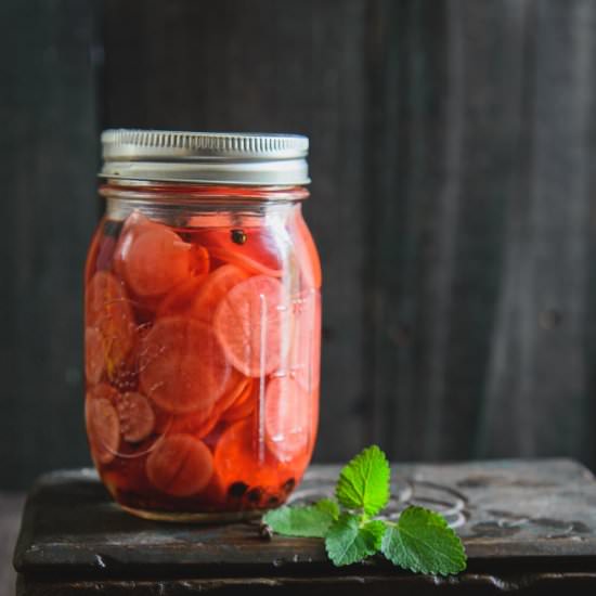 Spicy Pickled Radishes
