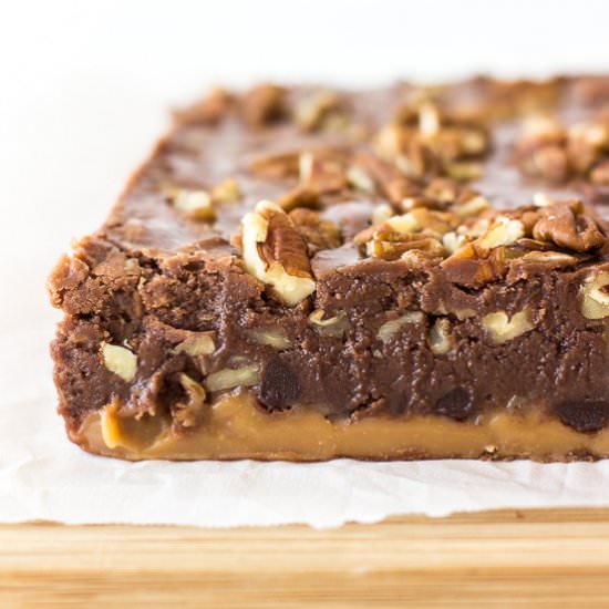 Turtle Fudge
